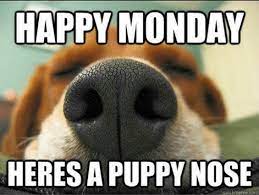 Happy Monday Funny