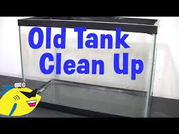 How To Clean Up An Old Aquarium - Youtube