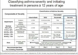 Image result for Moderate Persistent Asthma
