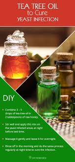 Tea Tree Oil To Cure Yeast Infection Yeast Infection Treatment Yeast Infection Cure Yeast Infection