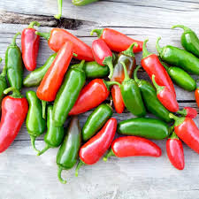 Growing jalapenos in pots is one of our top hobbies. Pepper Chilli Plants Jalapeno Dobies