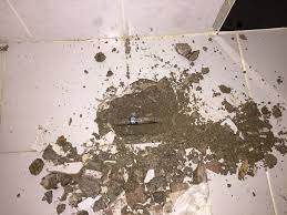 Tuvalet ve banyo kokusuna kesi̇n çözüm !!!! Ankara Su Kacagi Tespiti Petek Temizleme Koku Tespiti