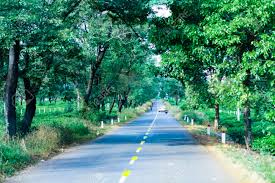 Maybe you would like to learn more about one of these? Gia Lai Vietnam November 24 2018 The Beautiful Road Passes Stock Photo Picture And Royalty Free Image Image 135827331