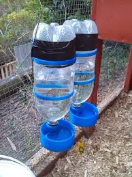 Chicken Water Dispenser By Pcaspa Tavukculuk Tavuk Kumesleri Kumes Tavukculugu