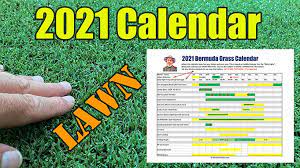 Lawn Care How To With Doc In 2021 Lawn Care Lawn Care Schedule Bermuda Grass Care