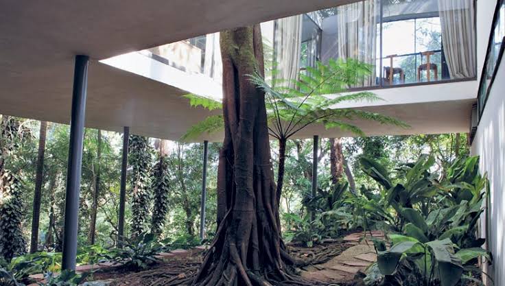 Resultado de imagem para CASA DE VIDRO DE LINA BO BARDI FOTOS"