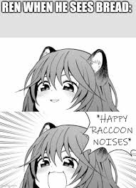 Oc Memez Happy Raccoon Noises Memes Gifs Imgflip