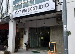 Cat Walk Studio Cat Hotel Pet Shop Cat Grooming Food Melaka
