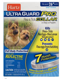 The seresto collar itself takes around 8 months to remove the fleas completely. The 7 Best Flea Collars For Dogs In 2021