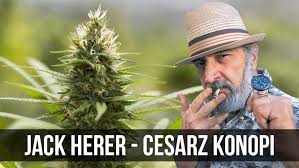 Kim był Jack Herer