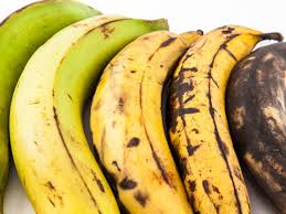 Vídeo de larva em banana no microscópio é fake; entenda