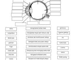 Muat turun bahan hinggalah selesai. Latihan Sumatif Psv Tingkatan 3 Seni Visual Latihan Bab 15 Catan Psv Tingkatan 1 Rancangan Pengajaran Tahunan Psv Tingkatan 3 Untuk Di Kongsi Bersamafull Description Nezukonezuko