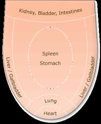 Tongue Diagnosis In Chinese Medicine