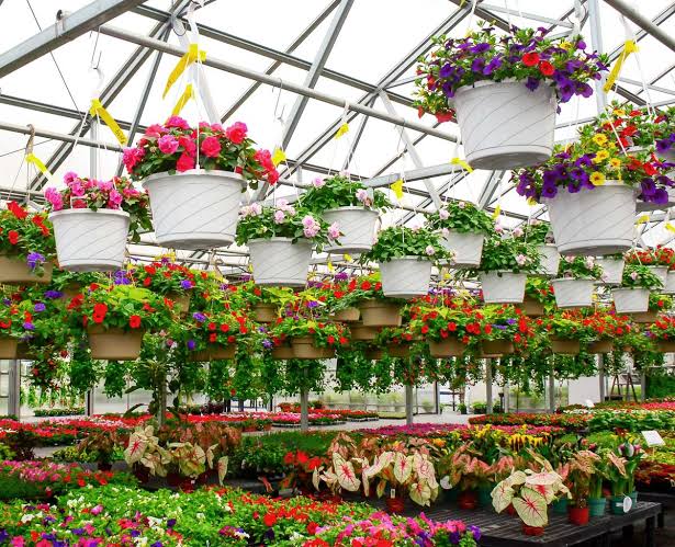 Beautiful collection of plants and lush green landscaping