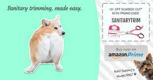Grooming The Tail And Genital Area Stress Free Pet