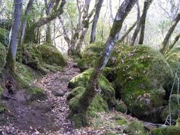 Maybe you would like to learn more about one of these? Clear Lake Sp