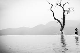 Balance is a photography technique that involves capturing images within a frame so all parts of the image have equal visual weight. Tips For Using Negative Space In Photography To Create Stunning Images
