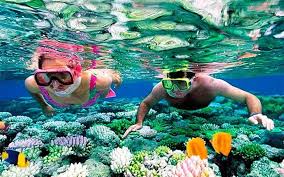 Snorkeling at Abu Dabbab