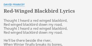 Blackbird singing in the dead of night take these sunken eyes and learn to see all your life you were only waiting for this moment to be free. Red Winged Blackbird Lyrics By David Francey Thought I Heard A