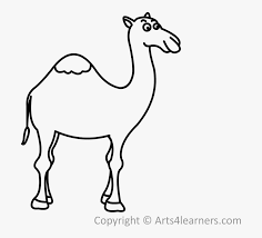 Camel clipart, cartoon camel clip art photo and image. Transparent Camel Clipart Black And White Drawn Camel Free Transparent Clipart Clipartkey