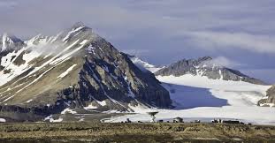 Tundra ikliminde toprağın alt kısmı yıl boyunca donmuş haldedir. Bioma Tundra Di Bumi Guru Geografi