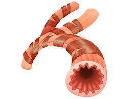 Xolair Uses Heart Attacks Other Side Effects And Fda Actions