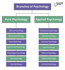 Bachelor of human sciences in psychology. Ba Psychology Subjects Syllabus Scope Jobs Salary Leverage Edu