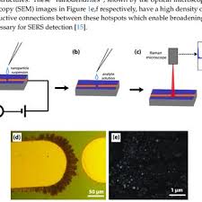 Hplc analysis uses liquids as carriers to transport the injected sample to the column and then to the detector. Preparation Of The Surface Enhanced Raman Scattering Sers Substrate Download Scientific Diagram