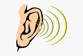 Clip Art Cartoon Ear Sense Of Hearing Clipart Hd Png Download Kindpng