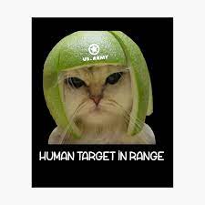 Limecat Funny Lime Cat Meme | escapeauthority.com