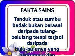 Berikut beberapa fakta sains yang paling menarik yang sangat menarik saya temui adalah, sepanjang saya telah belajar, saya akhirnya menyadari dan melihat bahwa dalam sains, apapun bidang ilmunya, rupanya mereka bukanlah sesuatu yang abadi atau. Fakta Sains Home Facebook