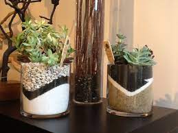 Plants used in this container garden: Succulents Planted In Clear Glass Vases Planting Succulents Succulents In Glass Plant In Glass