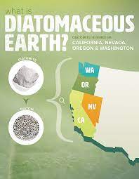 Food grade diatomaceous earth is safe for use in homes and as a nutritional supplement. What Is Diatomaceous Earth