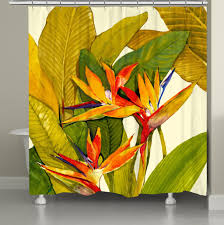 Tropical Bird Of Paradise Shower Curtain Bird Shower Curtain Tropical Home Decor Tropical Decorating