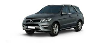 Image result for Tenorite Gray 2015 M