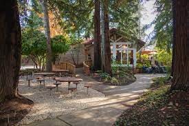 Maybe you would like to learn more about one of these? Camping Along The Russian River Sonoma Com