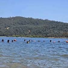 Image result for Autumn Gold Light 1972 Caloric