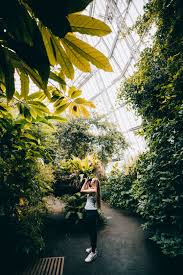 20 Must See Instagram Spots In Cleveland Ohio To Snap The Best Pictures The Mandagies Cleveland Botanical Garden Garden Photography Botanical Gardens