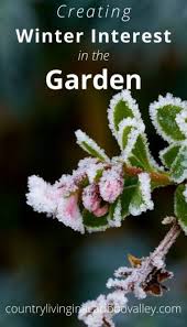 We did not find results for: How To Create Winter Interest In Your Garden And Yard