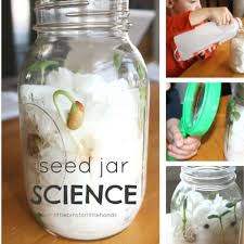 Science activities for toddlers are mostly about cause and effect and simple exploration. Plant Activities For Preschool Little Bins For Little Hands