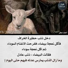 ذئب عادل Best Quotes Arabic Quotes Quotes