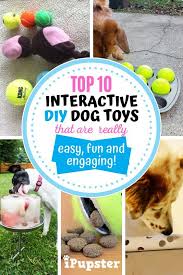 Dogs, like humans, love to sleep in comfor. 10 Really Cool Homemade Diy Interactive Dog Toys Your Dog Will Love Diy Dog Toys Dog Enrichment Diy Dog Stuff