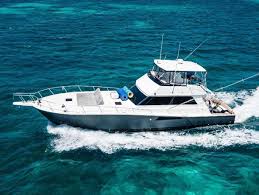 Image result for Cobalt Blue 1994 Reliant