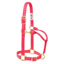 Weaver Halter Weanling Adjustable Diva Pink