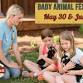 Baby Animal Festival