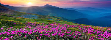 Brief itinerary why it is special about the trek trek distances, altitude gain and profile. Valley Of Flowers Trek 7 Nights 8 Days In Jammu Kashmir We Ramblers