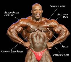We did not find results for: Ronnie Coleman Wiki Age Height Weight Biography Diet Family Wife Kids