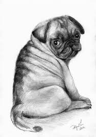 Discovered By Pilipart Find Images And Videos About Funny Drawing And Dog On We Heart It The App To Get Lost In What You Love Pug Art Pugs Puppy Art