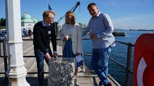 Overborgmester lars weiss' (s) tanker om at lade københavns kommune kaste sig over opsætning og drift af ladestandere møder hovedrysten fra branchen. 50 Fiskebornehaver Skal Skabe Mere Liv I Kobenhavns Havn By Havn