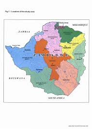 Image result for Xylia torreana